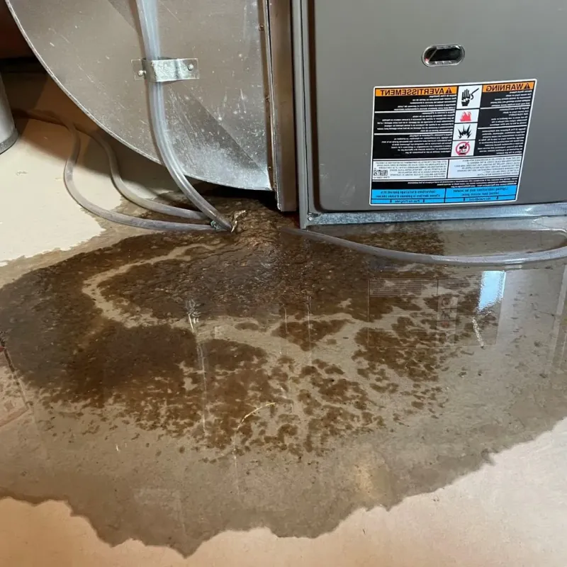 Pipe Burst and Leak Restoration in Dearborn, MI